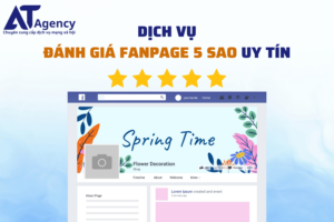 Dịch vụ đánh giá fanpage